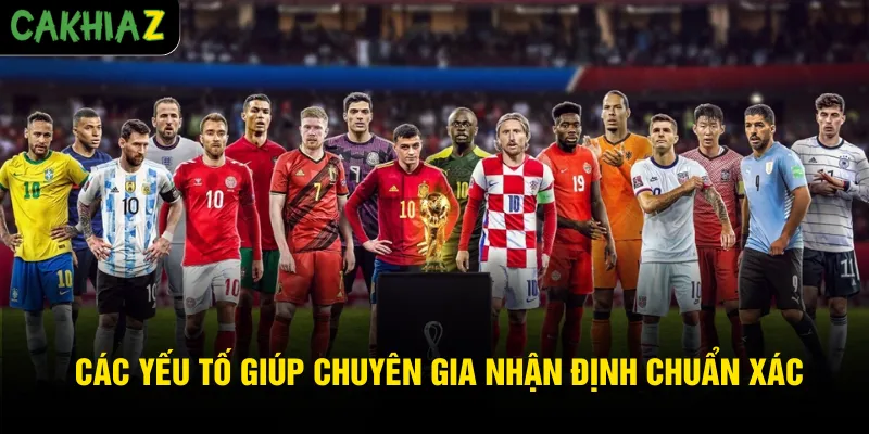 Các yếu tố giúp chuyên gia nhận định chuẩn xác